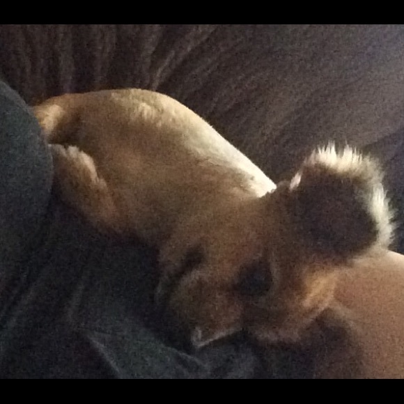 Meet your Posher, Delia - Picture 3 of 4